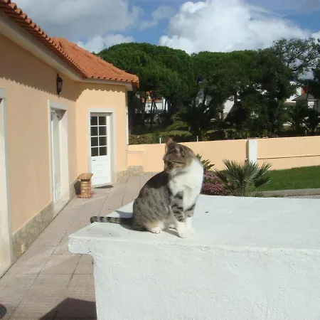 Homestay szállás Casa De Flor Do Jardim