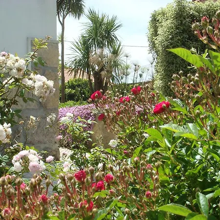 Casa De Flor Do Jardim Malveira