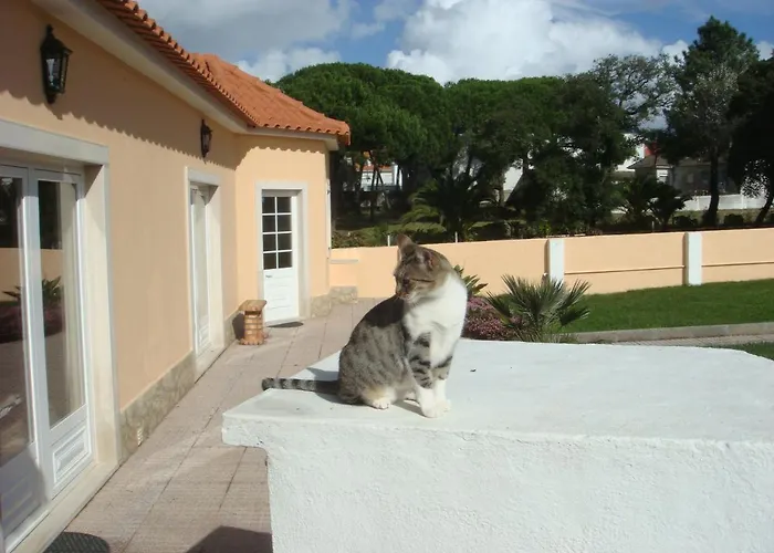 בית אירוח Casa De Flor Do Jardim